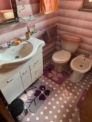 Vila D+P+E, Vladesti-Valcea - imagine 13