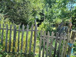 vand teren cu casa, in zona pitoreasca fara poluare fonica - imagine 10