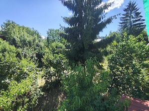 De vânzare  Apartament 1 cameră | 42 mp | Gruia  - imagine 13