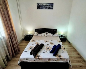 Apartament 2 camere, 49.32 mp, zona Brazda Lui Novac - imagine 3