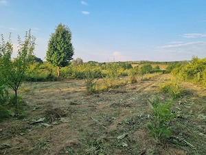 Teren intravilan de vânzare   Curături, comuna Ciurea, Iași - imagine 3