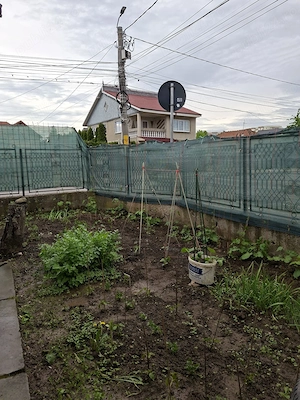 Teren 480 mp COLȚ 2 străzi - Prelungirea Bradului x Primăverii  cu  casă demolabila inclusa - imagine 9