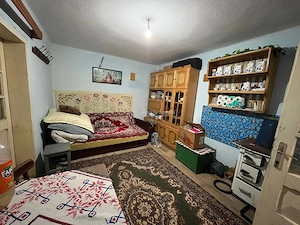 Zorile, Casa 6 Incaperi + 5900 mp Teren - imagine 4