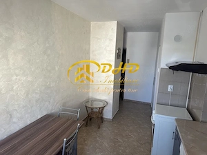 Apartament cu o camera Pacurari
