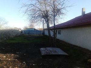 Casa individuala, 1700m2, sat Darabani, oras Negru Voda, judet Constanta - imagine 6