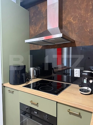 Studio de inchiriat, 40 mp, zona Rovine - imagine 11