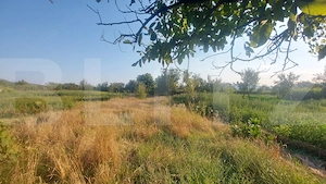 Casa de vanzare, 80 mp, teren 1782 mp, zona Belin - imagine 13