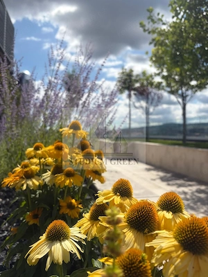 Penthouse | Etaj 14 | Seasons | Direct de la Dezvoltator! - imagine 6