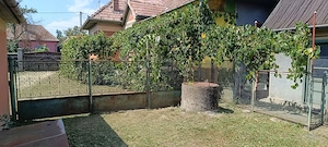 Casa de vanzare loc. Murgesti (jud.Mures) - imagine 5