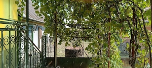 Casa de vanzare loc. Murgesti (jud.Mures) - imagine 6