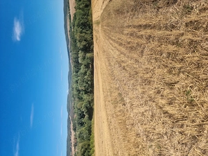 Teren intravilan 5100 mp . 35 km Oradea  - imagine 5