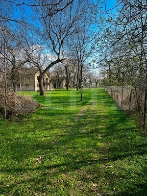 Vilă exclusivistă pe malul Begăi | 380 mp utili, 3.982 mp parc privat și ponton  - imagine 14