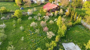 Teren intravilan Slanic Prahova - imagine 4