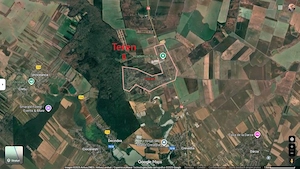 Refugiu la marginea padurii — 2822 mp de liniste in Cocani. - imagine 7