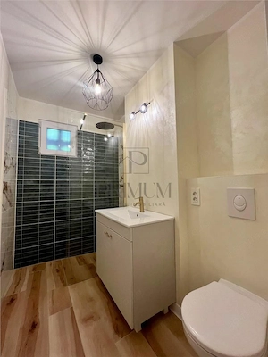 Gheorghe Lazar, apartament 2 camere, renovat, centrala proprie - imagine 7