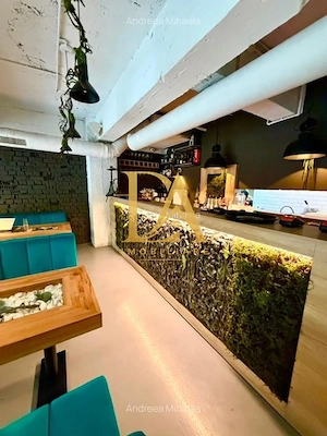 0%Comision Spatiu Comercial Floreasca  - imagine 8