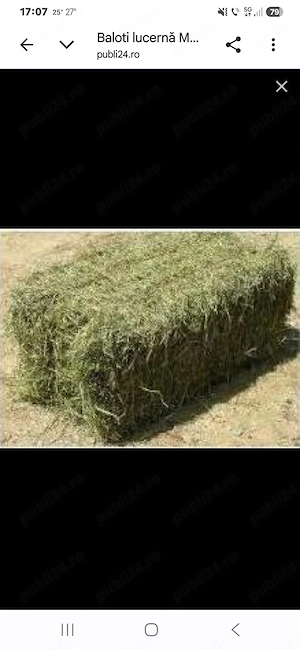 Baloți LUCERNĂ mici , 