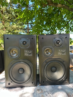 Boxe Pioneer S-X440 
