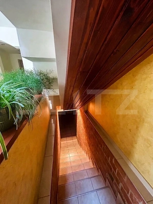 Vilă exclusivistă pe malul Begăi | 380 mp utili, 3.982 mp parc privat și ponton  - imagine 4