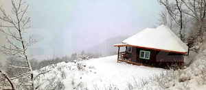 Cabana superbă din bârne de lemn, zona montana – Șugag - imagine 2