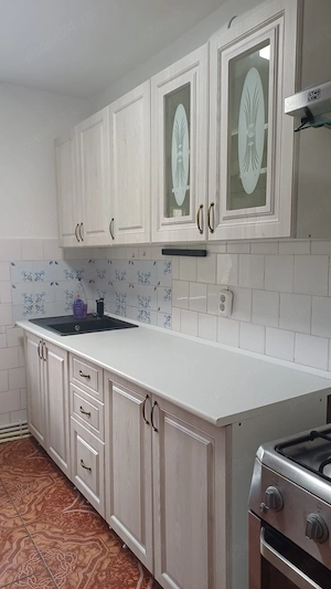 Apartament de vanzare, Amara Ialomita. - imagine 5