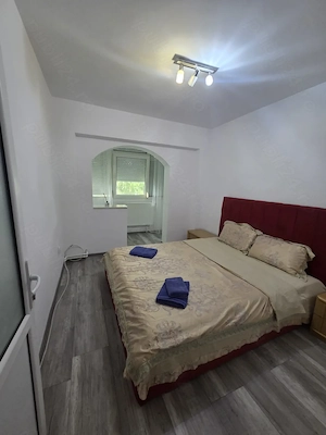 3 Camere Radu Negru cu pod Mobilat Utilat - imagine 2