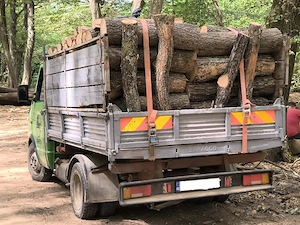 vand lemne de foc 