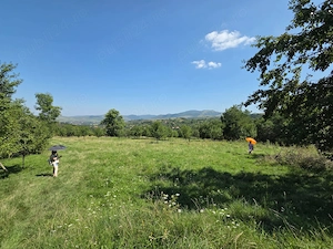 Teren intravilan de vânzare   Cacova Ierii, județul Cluj - imagine 4