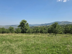 Teren intravilan de vânzare   Cacova Ierii, județul Cluj - imagine 2