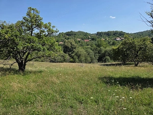 Teren intravilan de vânzare   Cacova Ierii, județul Cluj - imagine 7