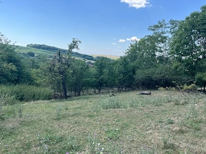 Proprietar vand teren intravilan 2774 mp - imagine 4
