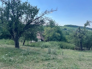Proprietar vand teren intravilan 2774 mp - imagine 3