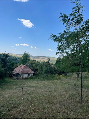 Proprietar vand teren intravilan 2774 mp - imagine 7