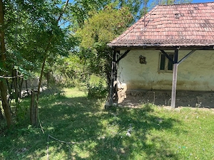Proprietar vand teren intravilan 2774 mp - imagine 2