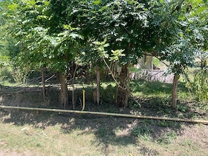 Proprietar vand teren intravilan 2774 mp - imagine 6