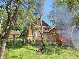 Casa Muntii Apuseni Comuna Vidra - imagine 3