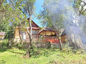 Casa Muntii Apuseni Comuna Vidra - imagine 5