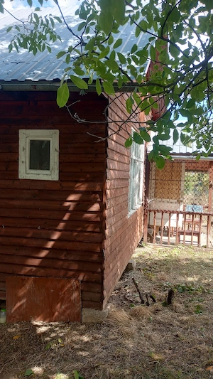 Vanzare cabana in Muntele Fili - imagine 3