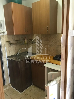 Garsoniera de vanzare , Cheltuieli reduse ,Zona Lipovei , Timisoara - imagine 3