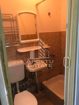 Garsoniera de vanzare , Cheltuieli reduse ,Zona Lipovei , Timisoara - imagine 4