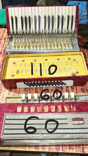 Piese de acordeon 