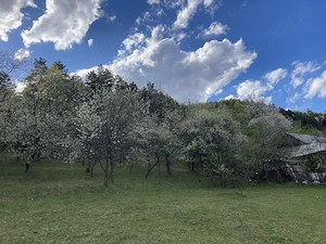 Teren intravilan 5.000 mp Gârcina | 12 min de Piatra Neamț | Pădure + priveliște