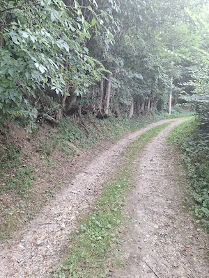 Vând teren în Valea Lungă Cricov  Dâmbovița  - imagine 4
