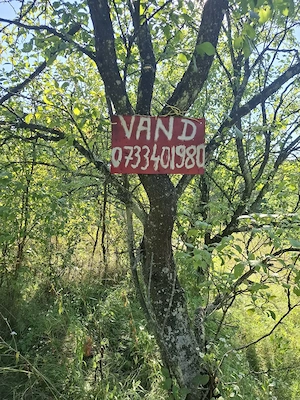 Vând teren în Valea Lungă Cricov  Dâmbovița  - imagine 6
