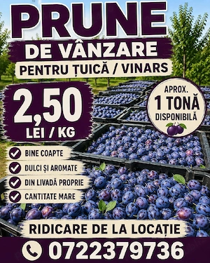 Prune de vânzare pentru țuică vinars   2,50 lei kg   cantitate mare