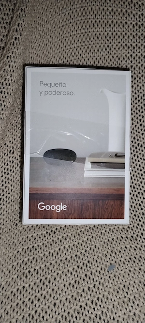 Google Nest Mini