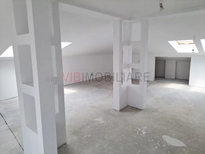 Baneasa - Sisesti, vila S+P+1E+M, 9 camere, suprafata utila 516 mp - imagine 10