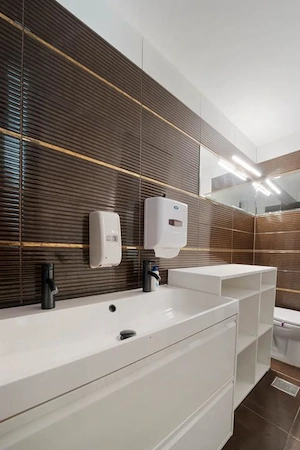 Vila individuala P+1+M*700 mp teren*337 mp construiti*Sectorul 1*Drumul Lapus - imagine 20