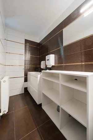 Vila individuala P+1+M*700 mp teren*337 mp construiti*Sectorul 1*Drumul Lapus - imagine 19