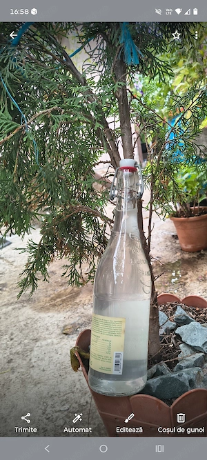 Vând tuica din fructe,caise corcodușe, prune 